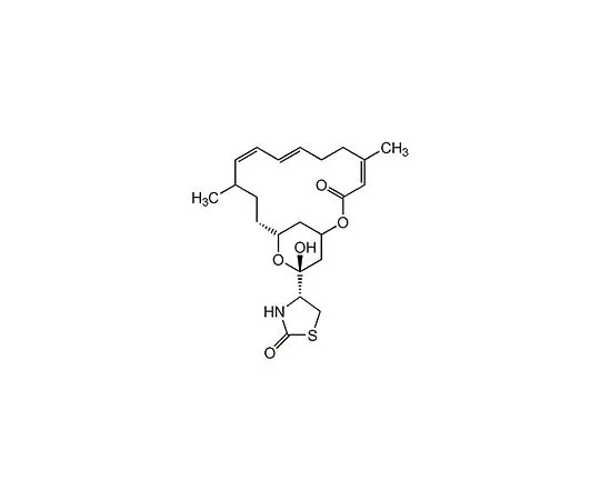 62-8426-49　拉丁文A,拉丁文华丽　428021-100UG