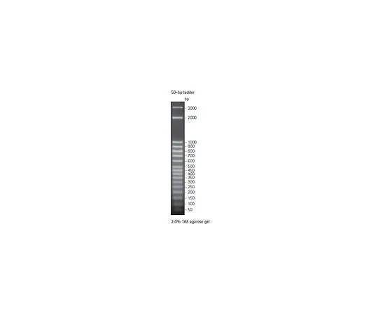 62-8401-82　完美DNA (TM) 50 bp梯子　70538-3