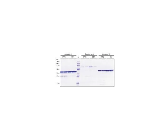 62-8405-41　隔夜特快 (TM) 自动感应核磁共振介质-15N,13C　71789-3