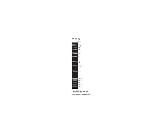 62-8401-49　完美DNA (TM) 标记，0.1-12kbp　70087-3