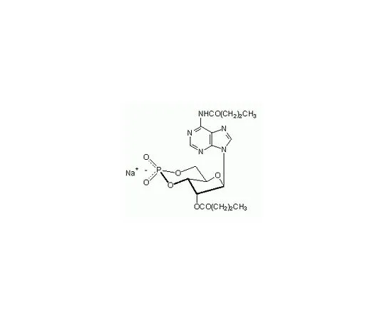 62-8399-47　N (6) ，O (2'-二丁基-cAMP,钠盐　28745-25MG