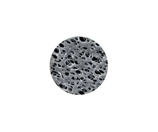 64-3317-60　Membrane Disk Diameter Φ13 mm NY 0.8 μm 1 Box (100 Pieces)　1213788