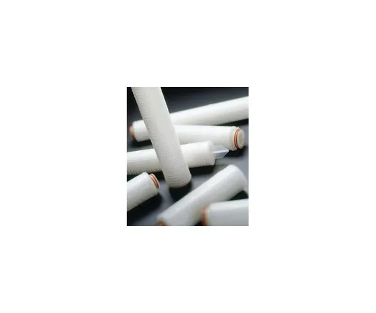 62-8342-67　［已停用］BEVI CGW3 0.2um30"CD 0 1/pk　CGW303SB1