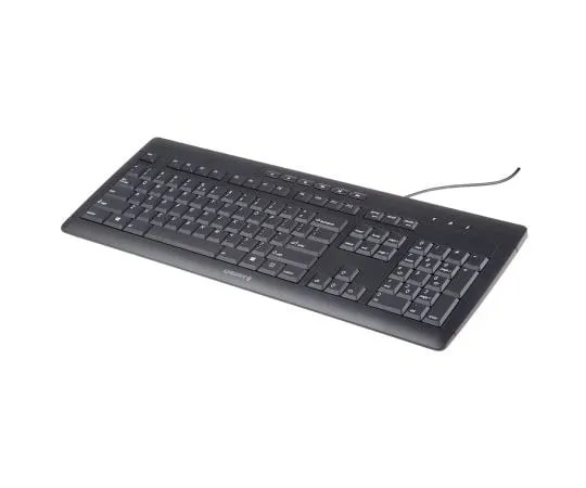 63-6971-44　樱桃黑线USB键盘，QWERTY (US)　JK-8500EU-2
