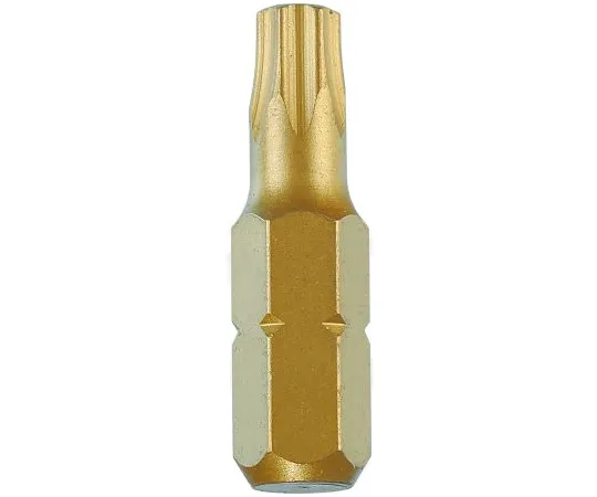 63-6970-56　RS PRO Driver Bit 10个，TX20　125-0363