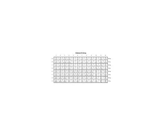 62-8392-97　［已停用］离体组蛋白H3抗体特异性阵列　16-667