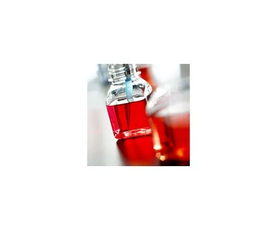 62-8478-45　［已停用］在DPBS中制备的β-半乳糖苷酶溶液，可以使用;100毫升　BG-2-C