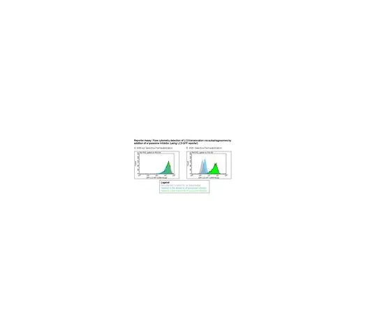 62-8483-67　［已停用］GFP-LC3记者自噬测定试剂盒;100次测试　FCCH100170