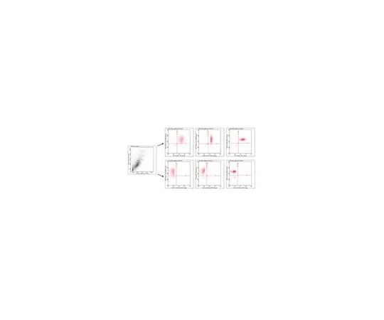 62-8485-44　［已停用］FlowCellect人iPS细胞表征试剂盒　FCSC100107