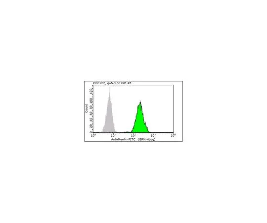 62-8485-20　［已停用］Milli-Mark (R) Anti-Reelin-FITC,a.a。164-496抗体，克隆G10FCMAB341F　FCMAB341F