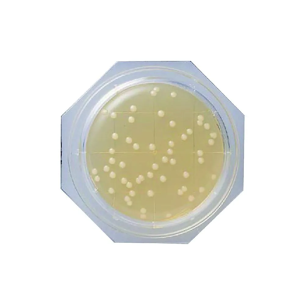 66-0021-91　Clean Stamp ®10 SCD Agar Medium 1 Box (30 Sheets)　06785