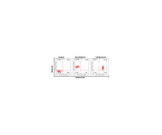 62-8483-62　［已停用］FlowCellect MitStress套件;100次测试　FCCH100109