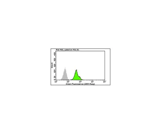 62-8484-15　［已停用］MilliMarkAnti-FXR1-FITC,克隆6BG10;100次测试　FCMAB152F