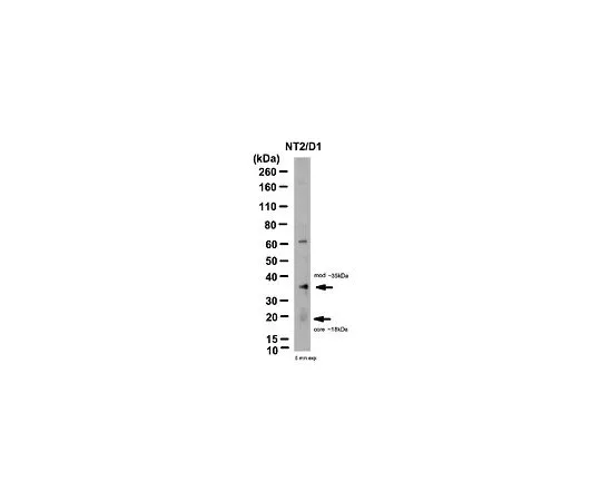 62-8459-36　［已停用］反死机1;100μg　ABD13