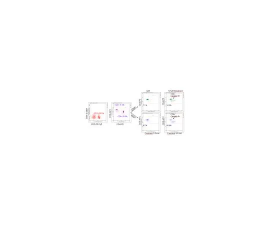 62-8483-65　［已停用］FlowCellect (TM) 人T细胞半胱天冬酶9试剂盒;100次测试　FCCH100156