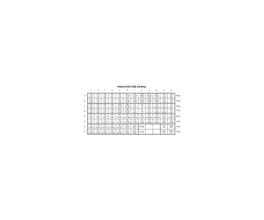 62-8392-96　［已停用］离体组织H2A,H2B,H4抗体特异性阵列　16-665