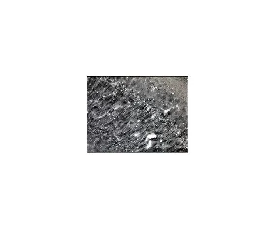 62-8446-79　［已停用］抗MAP-2,生物素结合;100μL　AB2290B
