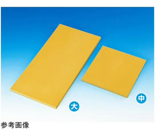 67-8065-47　Cutboard (For Histopathology) Large 500 x 250 x 15 mm　K-1