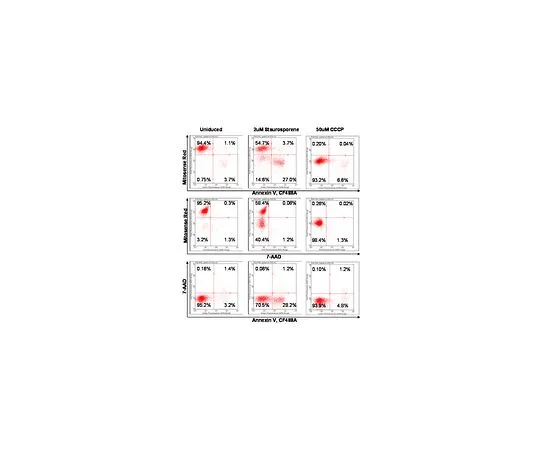 62-8483-60　［已停用］FlowCellect Mitdamage Kit;100次测试　FCCH100106