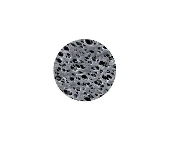 64-3317-45　Membrane Disk Diameter Φ13 mm NY 0.22 μm 1 Box (100 Pieces)　1213766