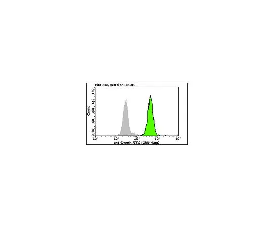 62-8485-23　［已停用］MilliMark (TM) 抗Dynein-FITC,克隆74.1;100次测试　FCMAB349F