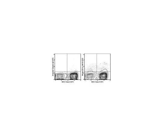 62-8511-44　［已停用］抗CD11c (小鼠) ，FITC,克隆N418　MABF531