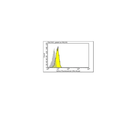 62-8509-10　［已停用］抗CD3γδ (HMT3-2) ，克隆Ham25-1157;100μg　MABF116