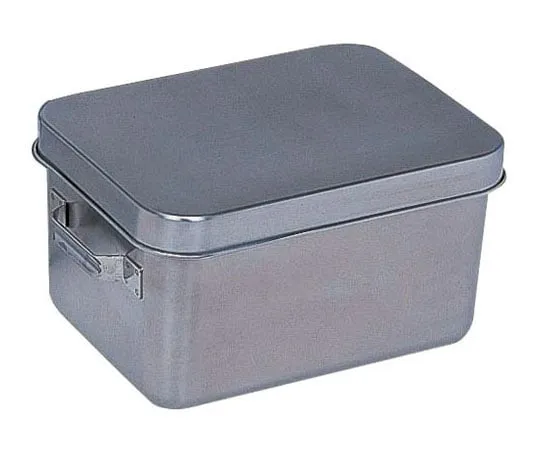 62-6375-76　Tempura container (with lid)　ATV3302