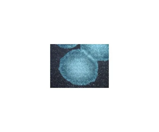 62-8532-37　［已停用］多层STEM-XF (TM) 冻结介质 (1X)　SCM135