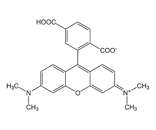 61-0384-61　［已停用］6-羧基四甲基罗丹明851073 10 mg　8510738010