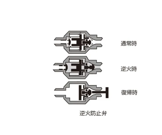 60-3362-17　［Out of stock］Backfire Prevention Valve DP-06H for Hydrogen