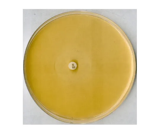 61-0203-43　［已停用］微生物用抗生素琼脂5号105271 500G　1.05271.0500