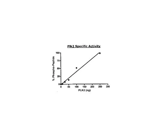 62-8420-07　［已停用］Plk2, GST-His tag (R) ，Human, Recombinant,S.frugiperda　346104-10UG