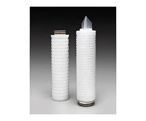 61-0219-49　［已停用］富通SL滤芯过滤器0.2μm 30英寸。代码7 EPDM,6/Pk 6 x1ST　CFGB73E06