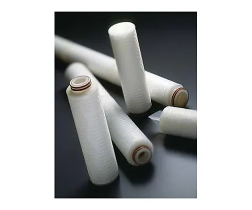 61-0227-72　［已停用］Vitipore II Cart Filt10In。0.22μm代码01/ Pk1ST　CVBW01PK1