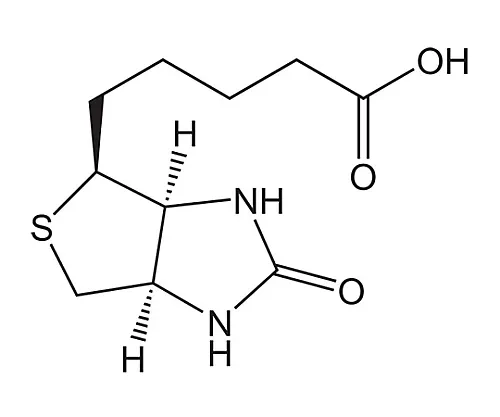 61-0385-10　［已停用］D (+) -BiotinNovabiochem (R) 851209 1 G　8512090001