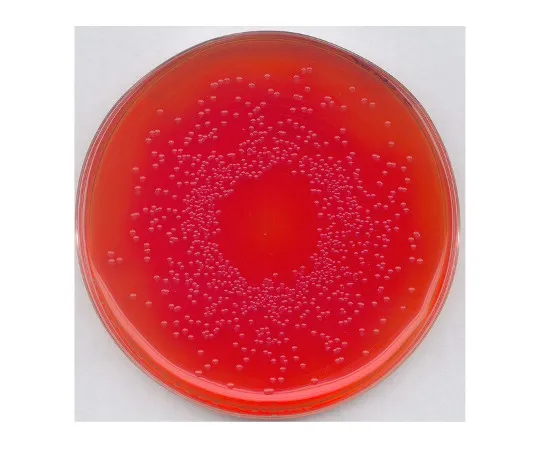 61-0200-04　［已停用］用于分离沙门氏菌的BPLS琼脂培养基107237 500G　1.07237.0500
