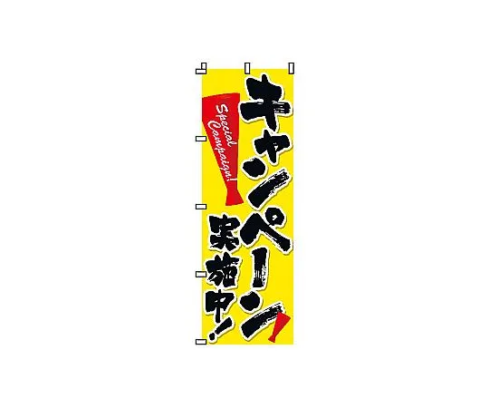 62-6317-45　Nobori Campaign　2-11-008