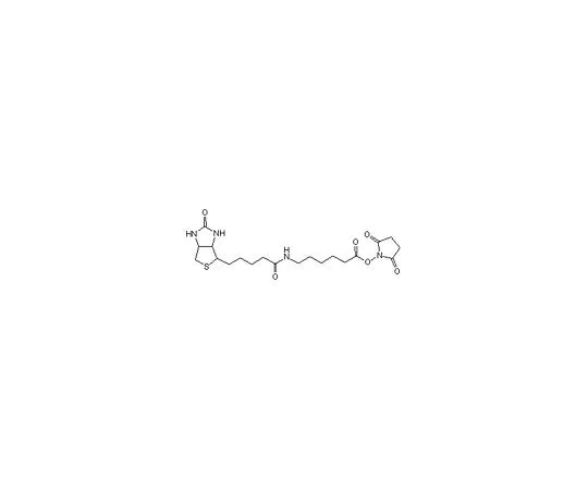 62-8409-69　［已停用］生物素-X-NHS　203188-25MG