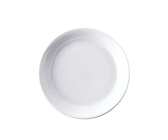 62-6833-01　Casual Wear Plate 16 cm　RPL57