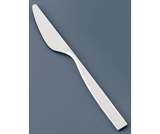 62-6719-43　18-8 SUNAO Dinner Knife