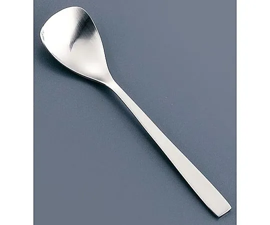 62-6719-49　18-8 SUNAO Ice Cream Spoon