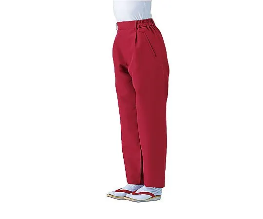 62-6641-68　Unisex Japanese Pants Bordeaux M　SLB951-4