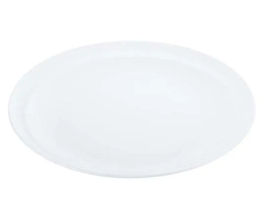63-7194-65　Super Ceramic Half Rim Large Plate 10inch　8179200