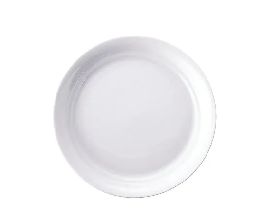 62-6832-98　Casual Wear Plate 23.5 cm　RPL55