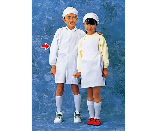 62-6636-16　School Lunch Clothes (White) Double 2　SKV359