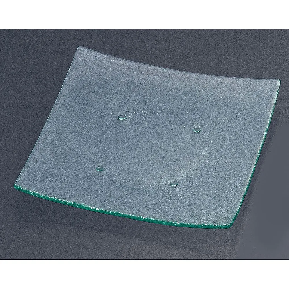 62-6835-53　Tiger Glass Square Plate 310 161-193 00 Clear
