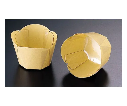 62-6577-31　Pet Tulip Cream MB-40 (100 Sheets)