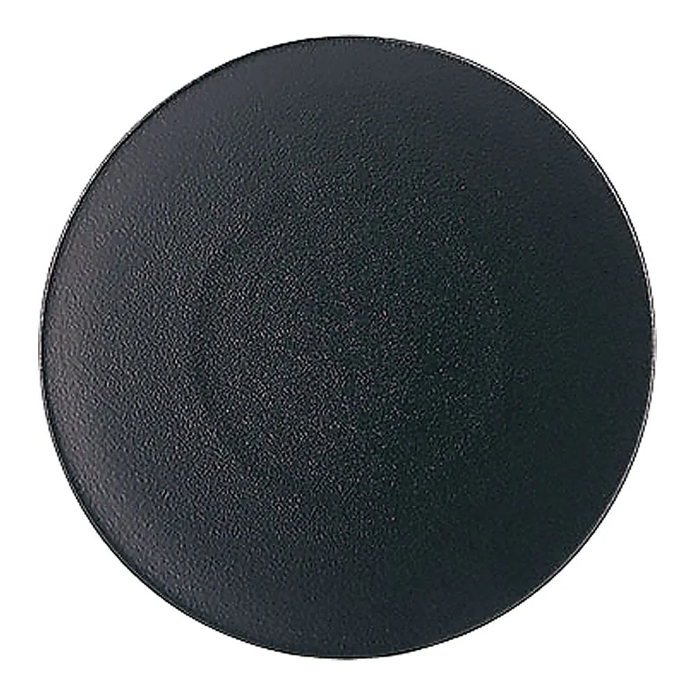 62-6821-52　Echinox Dessert Plate 21.5 cm Cast Iron　649495