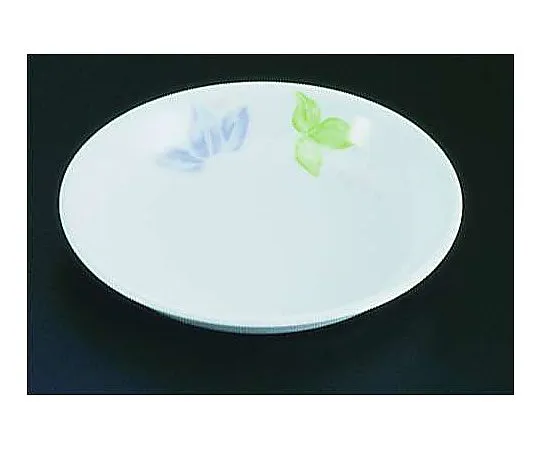 62-6857-10　Cucera Western Grape Series Medium Plate 11160-YB